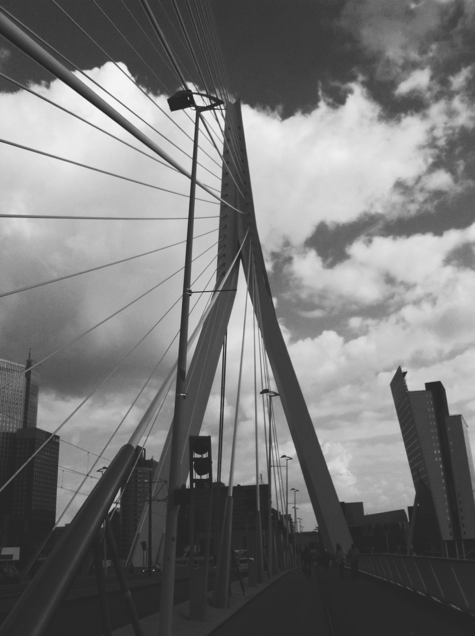 Erasmus Bridge in Rotterdam, the Netherlands